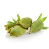 Cardamome